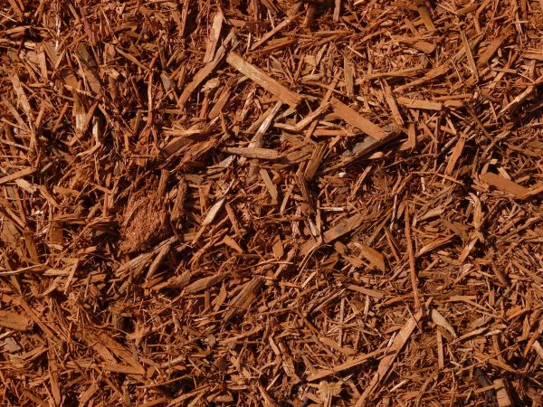 wood chips  texture
